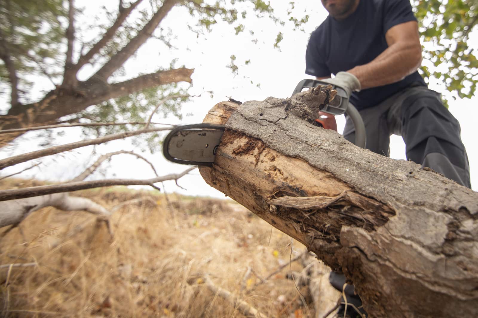 Land Clearing